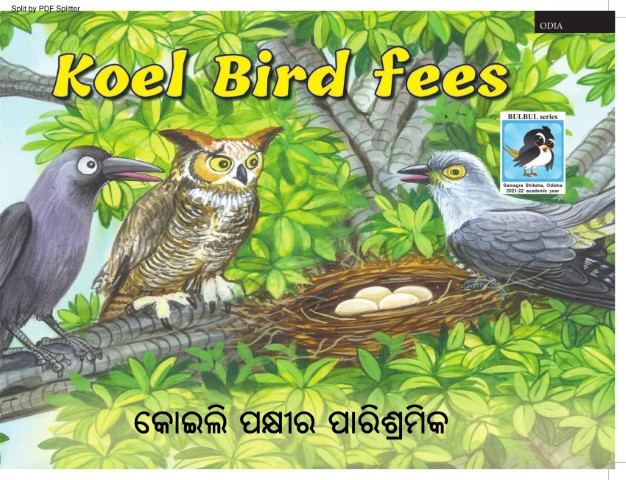 Koel Bird fees